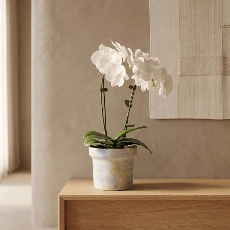 Clay Flower Pot Desktop Decoration Modern Minimalist Indoor Plants Pots Balcony Luxury Aesthetic Round Orchid Pot Home Decor