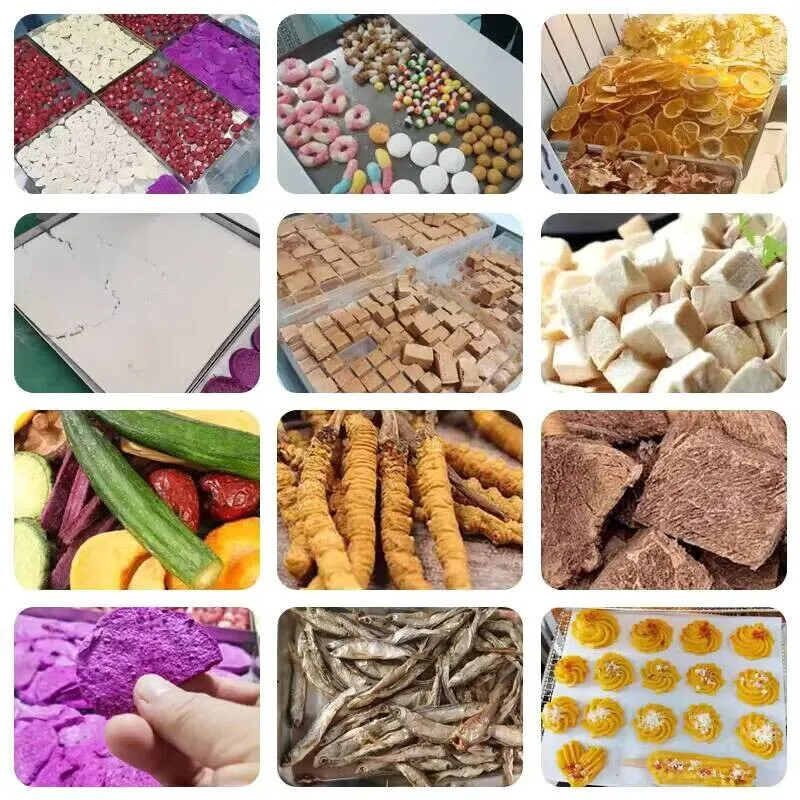 

Automatic Commercial Freeze Dryer For Food Processing And Milk/candy/meat/fruit Drying