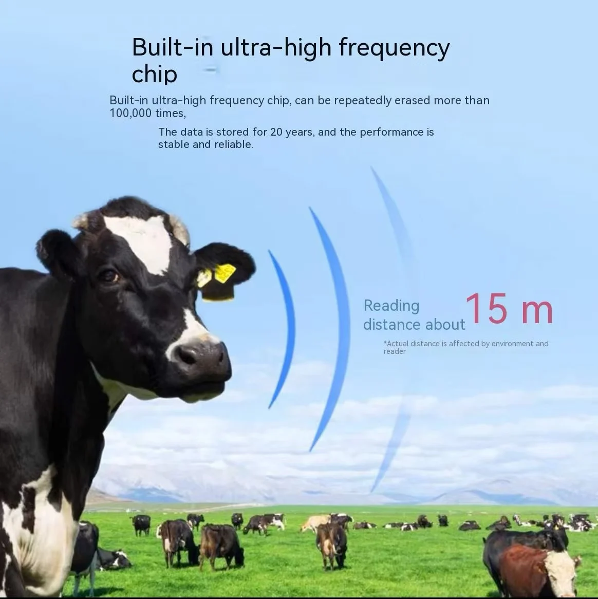 10ชิ้นRFID UHF/LFสัตว์หูแท็กISO18000 6Cอิเล็กทรอนิกส์หูแท็กrfid uhfแท็ก860 ~ 960เมกะเฮิร์ตซ์LF 134.2เมกะเฮิร์ตซ์