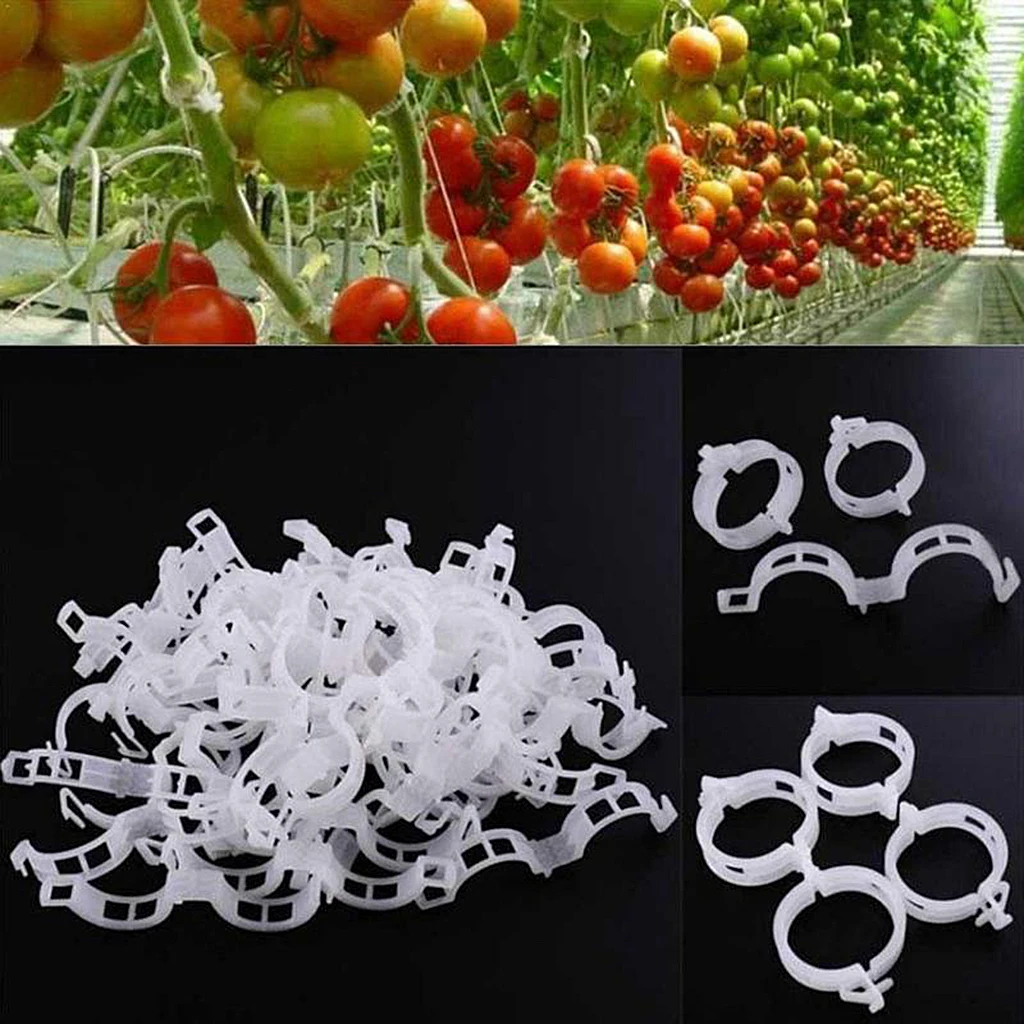 200x Plant Support Clips Reusable Tomato Clips Clear Plastic Garden Trellis Clips for Vine, , Vegetables, Fruits