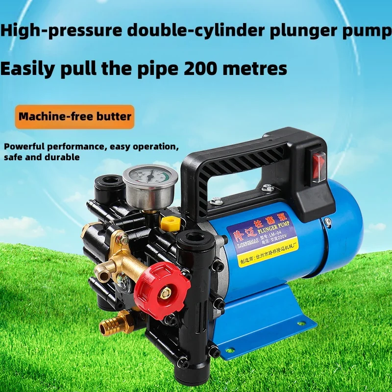 Agricultural High Pressure Pump 12V/24V//220V Dosing Pump Spray Watering Car Washing Irrigation Double Cylinder Plunger
