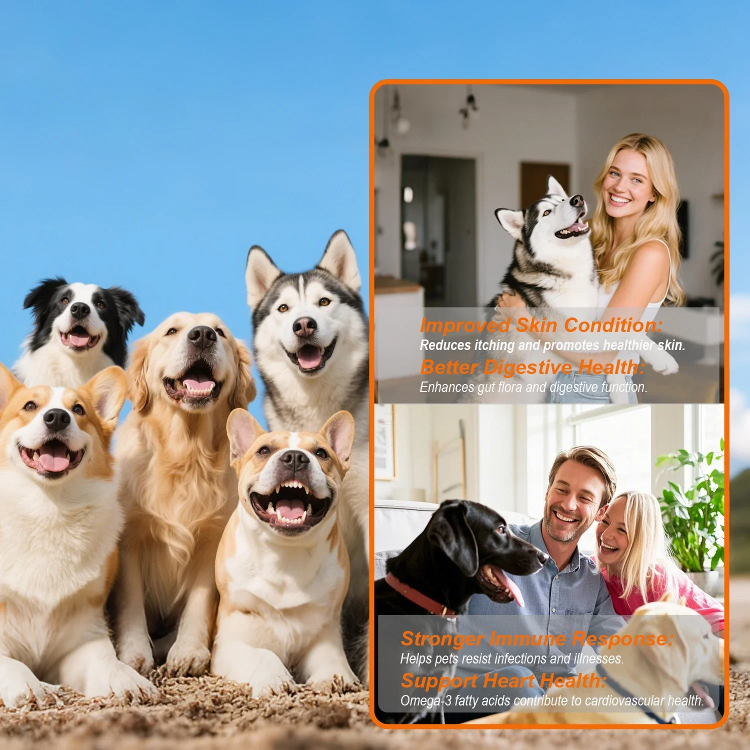 2 قطعة/الوحدة مضغ السلمون والبروبيوتيك الناعمة للقطط والكلاب |   مكمل لتخفيف الحكة وتوازن نباتات الأمعاء ودعم مناعة قوي