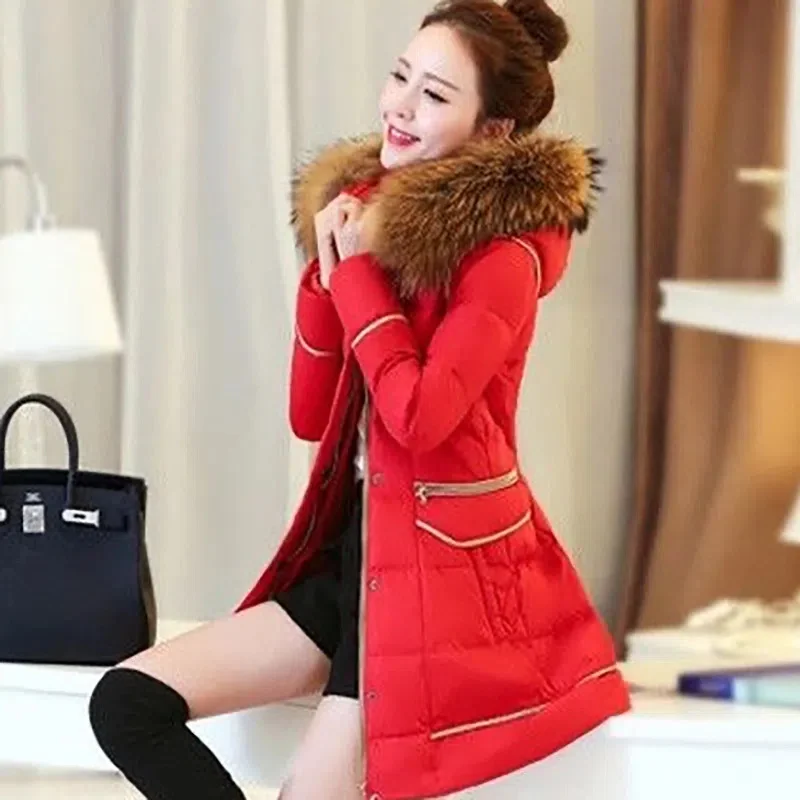 Women Hooded Korean Down Cotton Jacket Female Korean Slim Down Cotton Coat Medium-Length Imitation Raccoon Wool Collar Cardigan