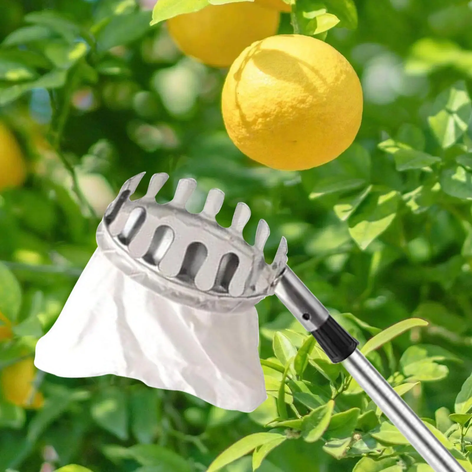 Fruit Tree Picker Telescoping Fabric Basket 3.3-13ft Adjusting Fruit Picker For Mango Lemon Orange Pear Cherry Farm Orchard
