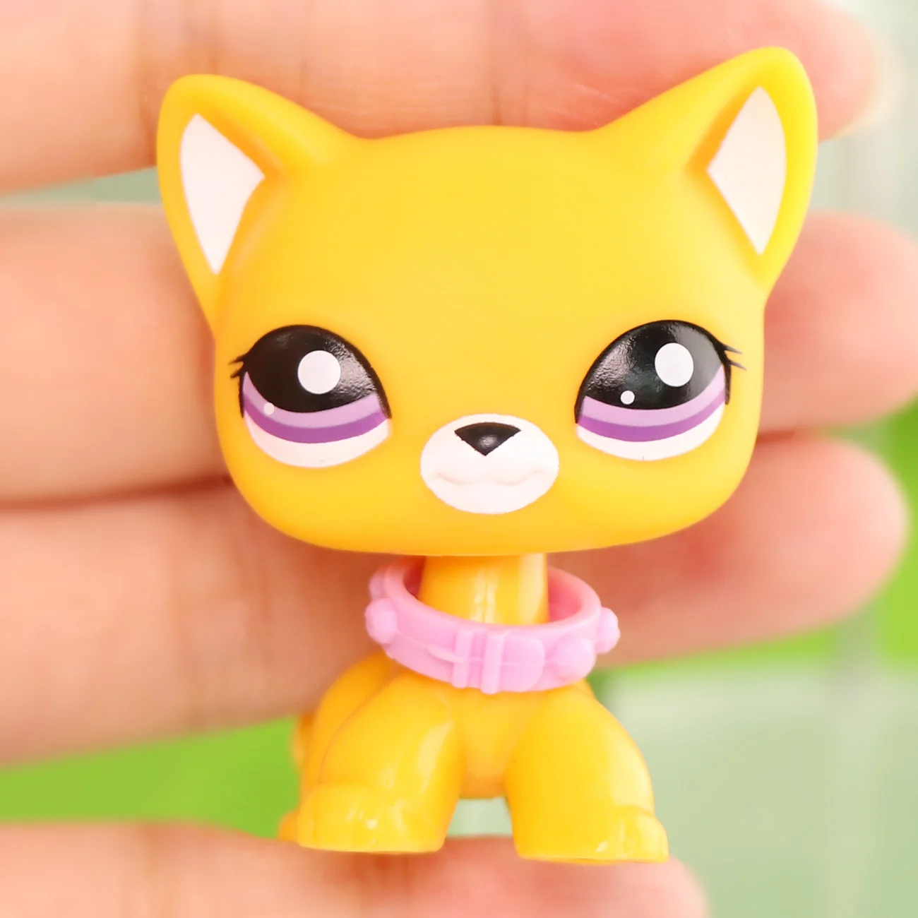 애완동물 오렌지 쇼트헤어 고양이 보라색 눈 귀여운 어린이 선물 희귀