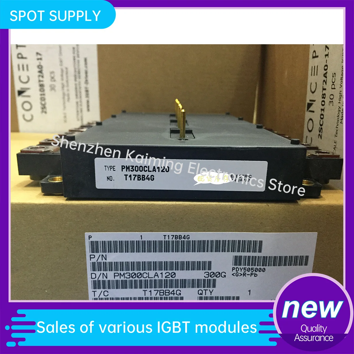 NEW AND Original IGBT MODULE PM200CLA120 PM300CLA120 PM450CLA120 PM600CLA060 PM450CLA060 PM300CLA060 in stock