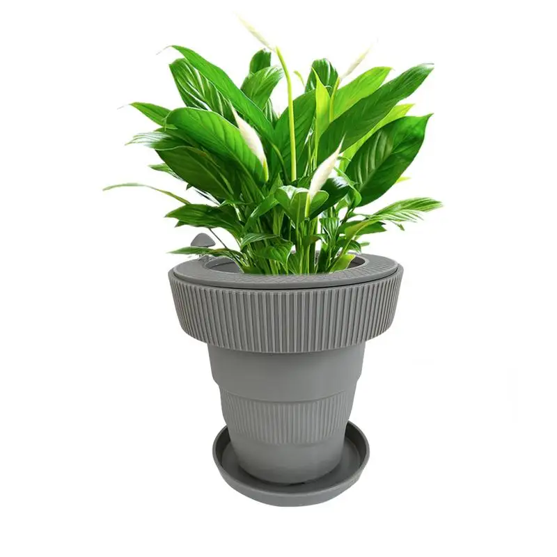 

Оригинальный горшок для хранения воды в виде кактуса, горшок для хранения воды с ручкой для управления капельной скоростью, декоративная Новинка