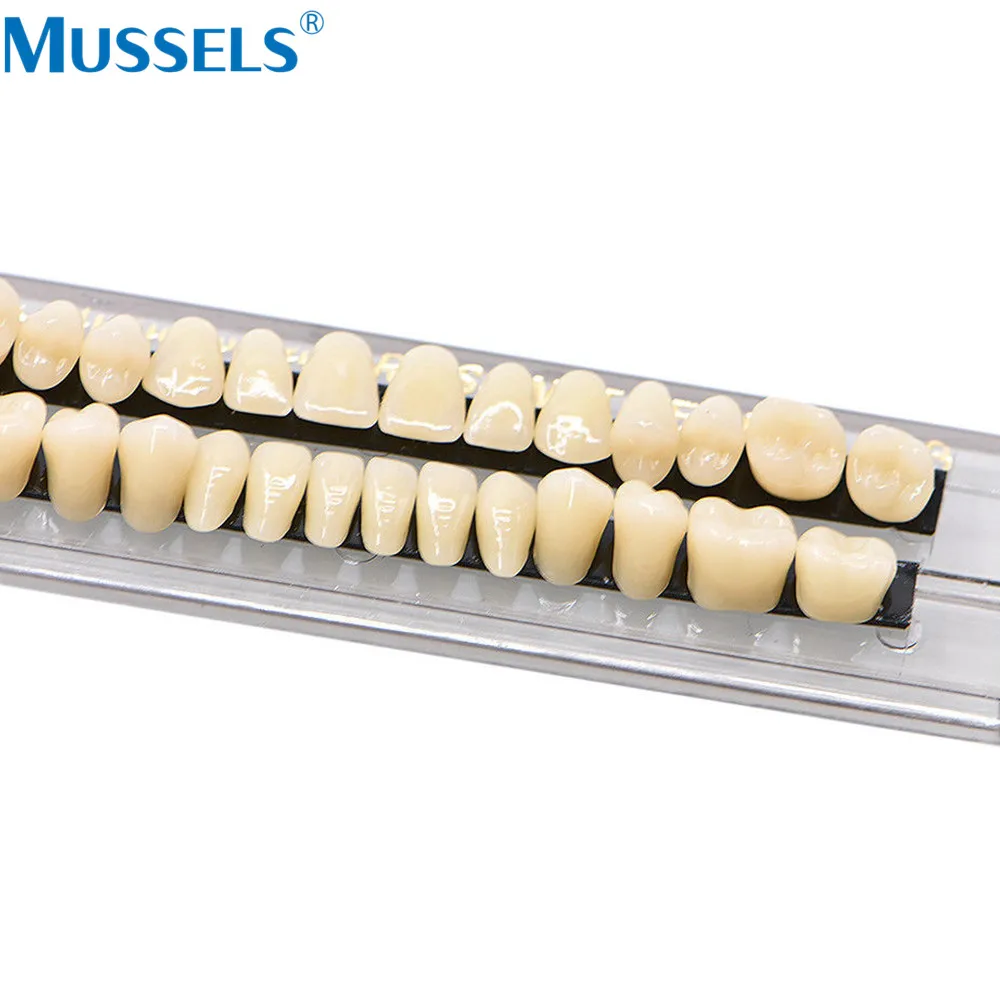 28 stücke Dental Acryl Harz Prothese Zähne Vollen Satz Falsche Gefälschte Zahn Synthetische Lehre Modell Schatten A2 A3 Oberen Unteren für Halloween