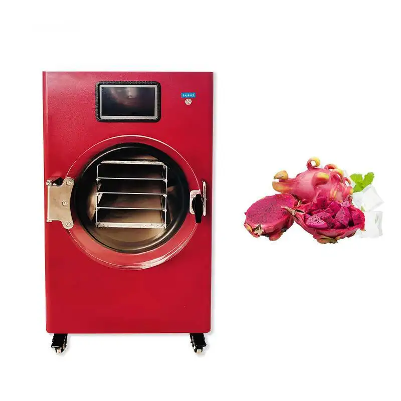 Industrial Vacuum Freeze Dryer 10kg 20kg 30kg Lyophilizer Food Processing Machine