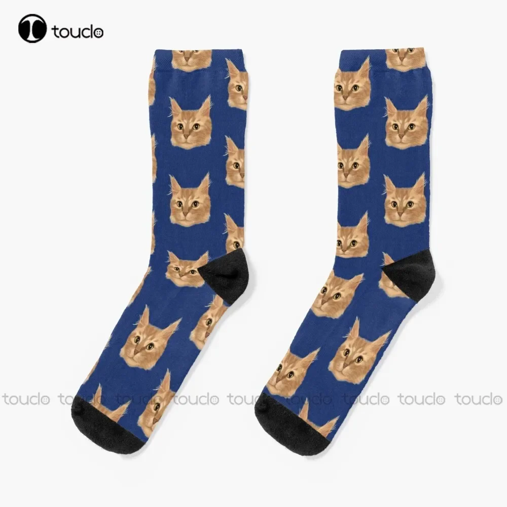 Orange Tabby Cat Portrait Socks Bulk Socks Cartoon Comfortable Best Girls Sports 360° Digital Print Custom Gift Streetwear Retro