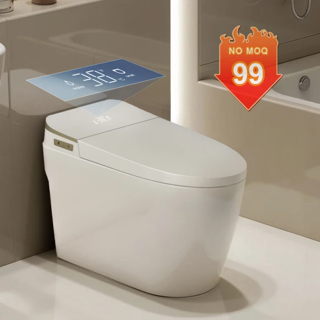 Automatic Flushing Electric Smart ToiletIntelligent Bidet Bowl Toilet for Bathroom