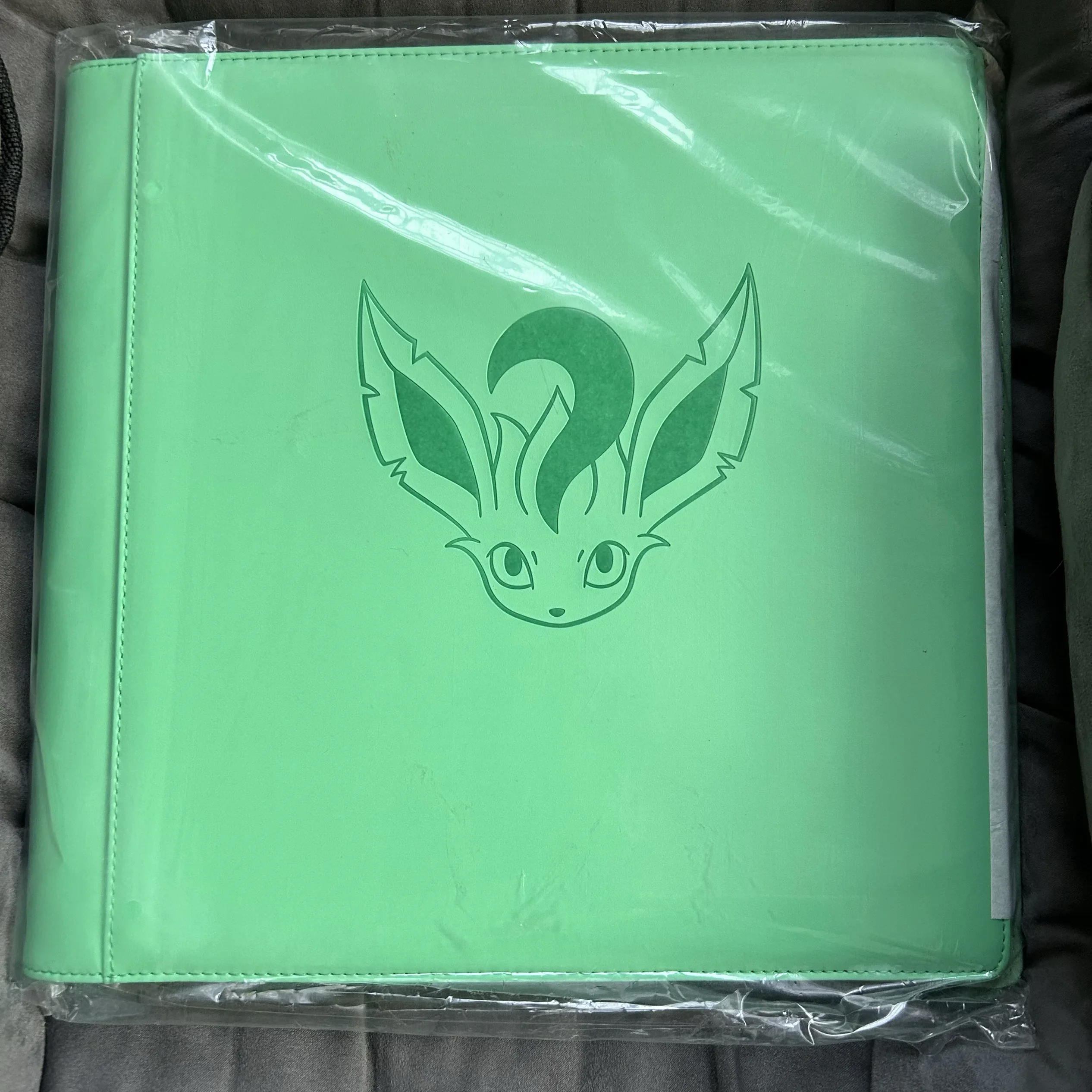 Op voorraad PTCG PokéMon Chinese Game Card Ibrahimovic Geavanceerde Eeveelution Protection Register Card Boek Collectie Geschenken