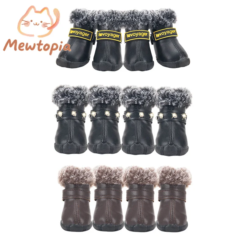 Diji Bin Bibi Bear … - image