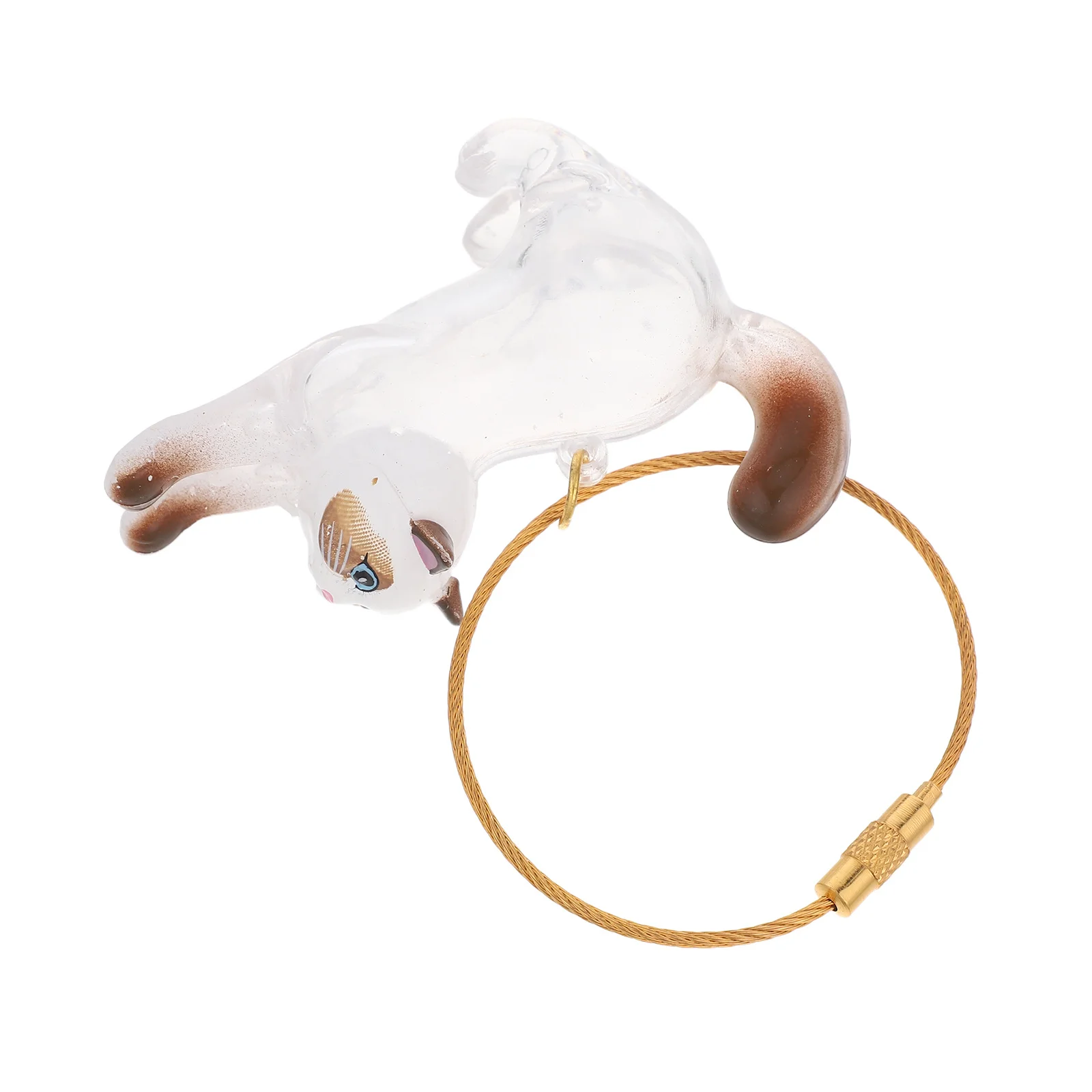 

Pet Hair Storage Shaped Keychain Transparent Portable Memorial Kitten Hair Collector Keepsake Practical Keyring Souvenir