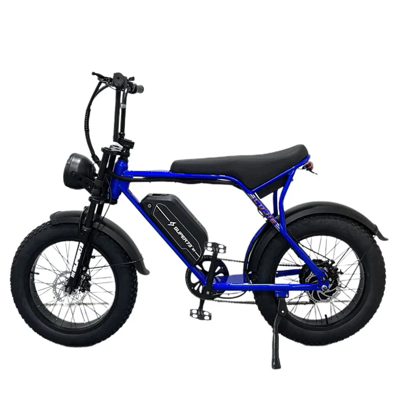 *forFat Tire Pedal Electric Bike Rear Rack Modification 5-Speed/7-Speed Parrot Lithium Battery China Brushless Motor 48V 500W