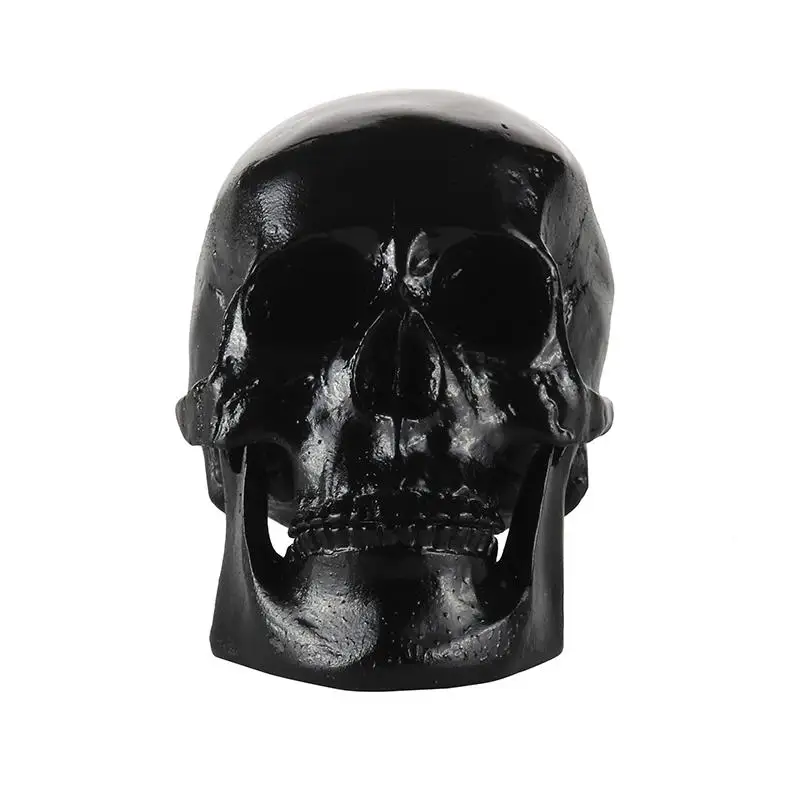 Human Skull Resin Model Collectible Decorative Figure Halloween Ornament for Masquerade Events