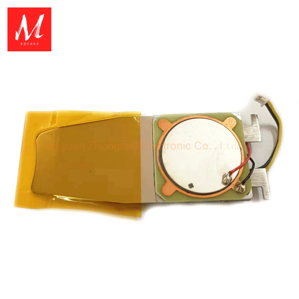 Ultrasonic Vibration Transducer for Beauty Instrument