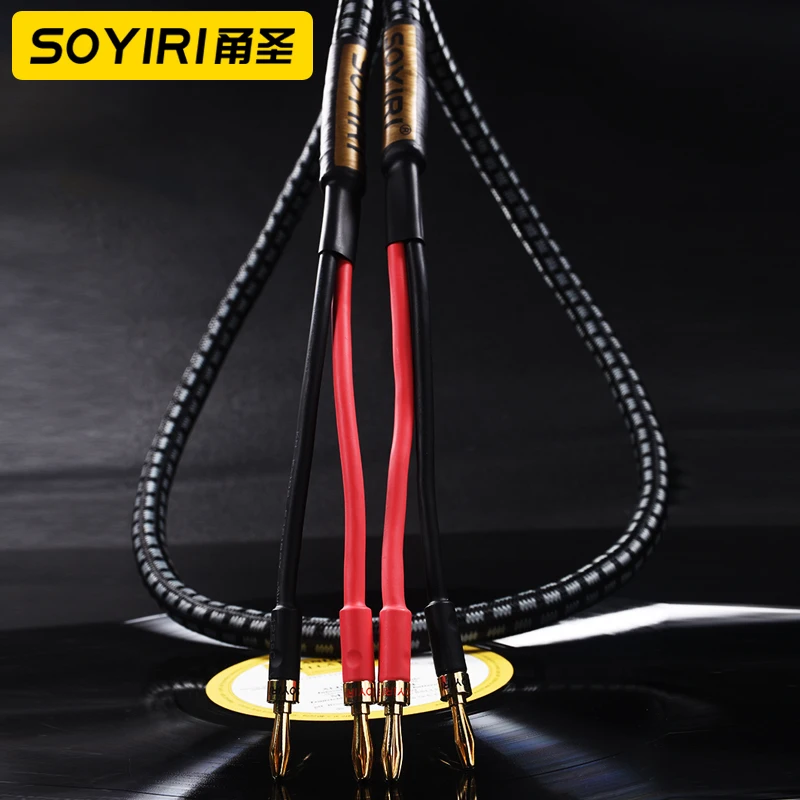 SOYIRI pure copper banana plug jack main speaker cable HIFI fever audio amplifier bold audio connection cable