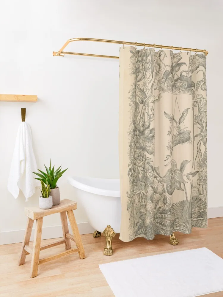 Victorian Orchids Shower Curtain Shower Bathroom Bathroom Showers Transparent Bathroom Shower Curtain