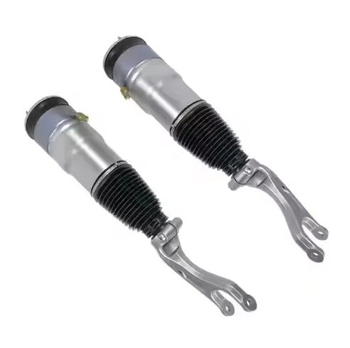 Factory Direct NEW Condition High Quality Front Shock Absorber 103060800C 1030608-00-C for Tesla Model S High Performance Strut