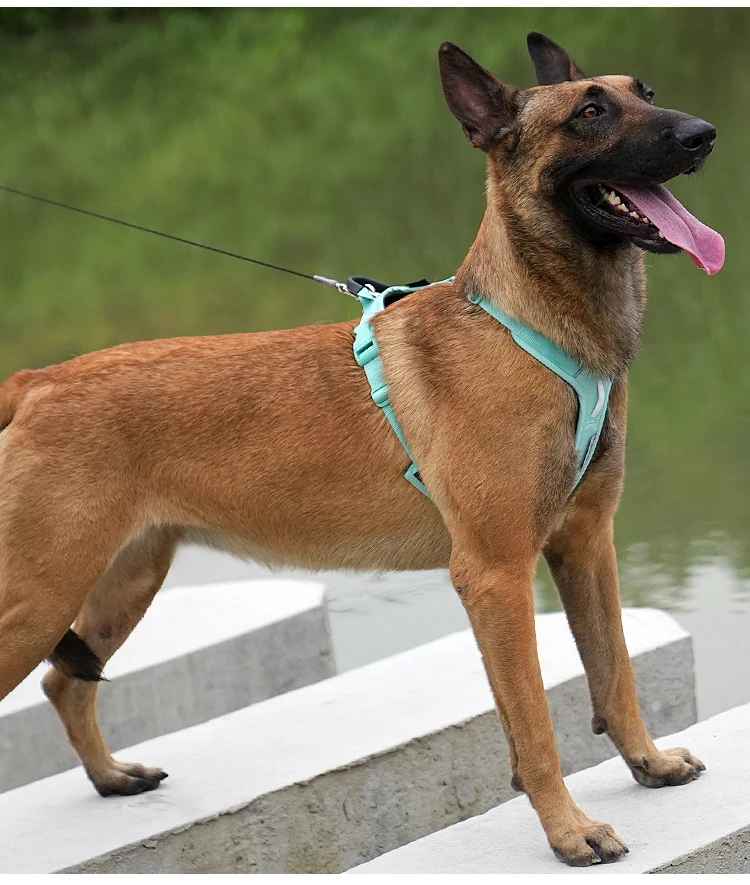 SMALL COMBINATION Pet Harness No Pull Nylon Reflective Dog Harness Adjustable Comfortable Control Walking Running  accessories