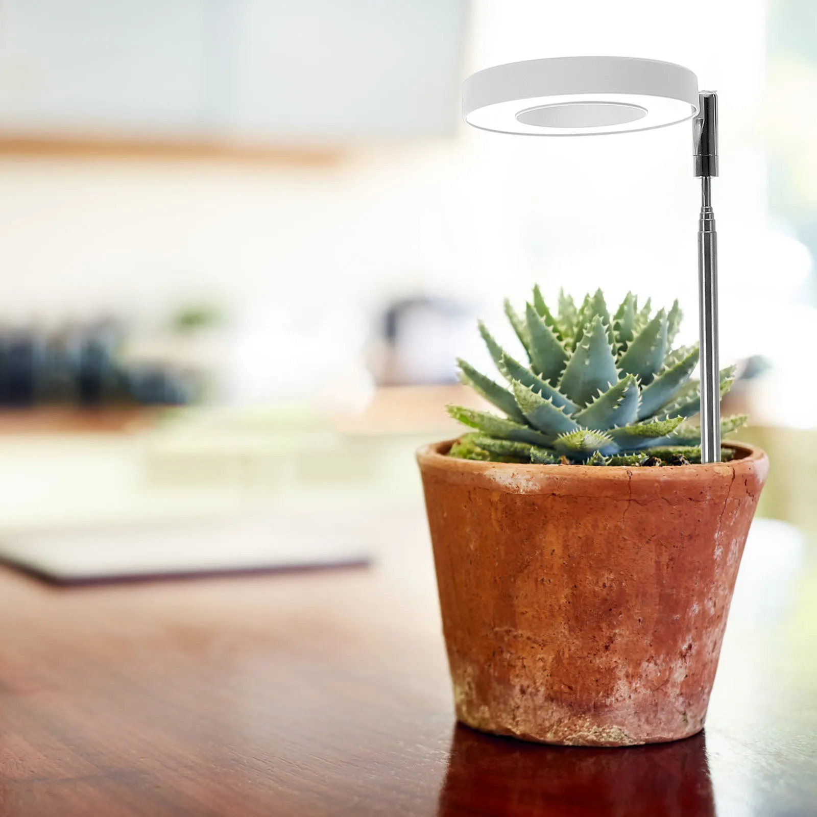 1 set Led Red Blue Full Spectrum For Indoor Plants Automatic Timing Stable Pot Insert Design Grow Light For Full Spectrum Plant