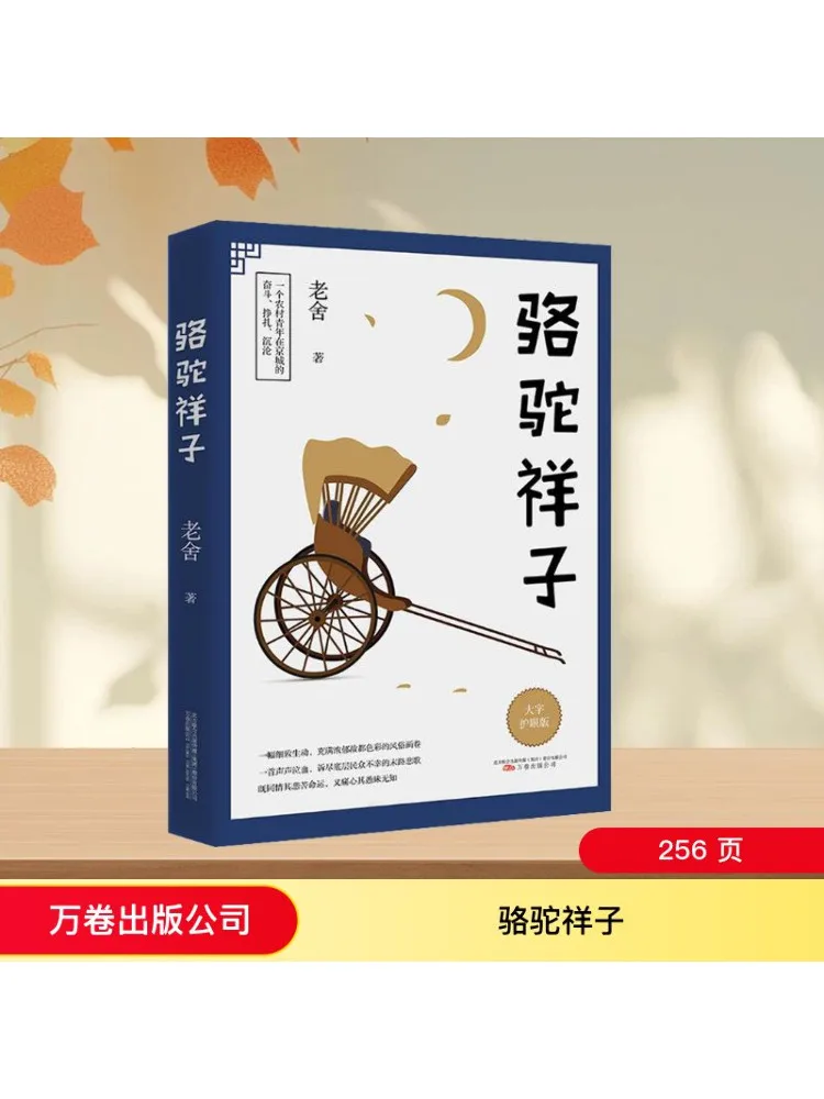 

Book-Winshare Camel Xiangzi с большим принтом для защиты глаз