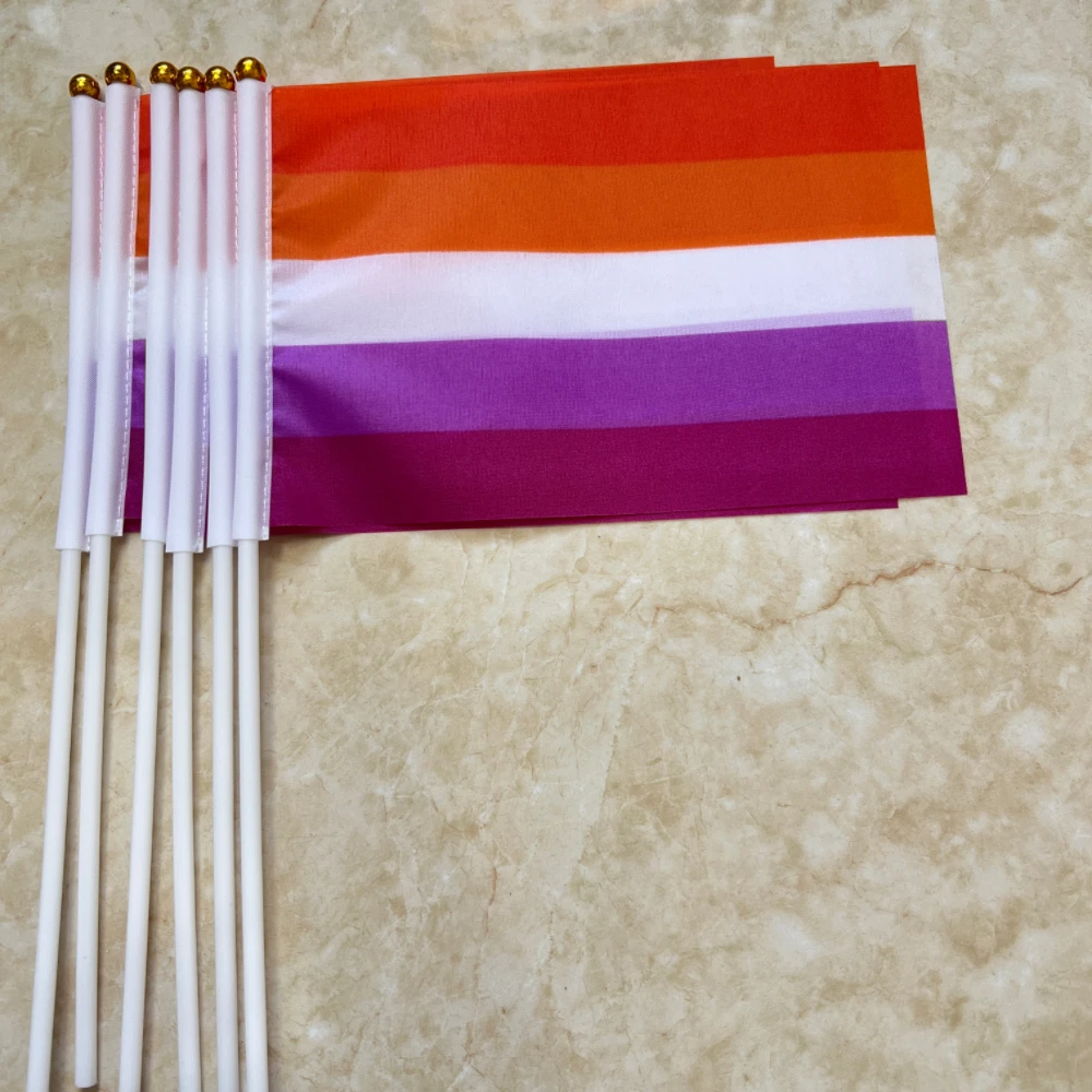 LGBT lesbian Pride Rainbow Flag 14x21cm Holding Progressive Pride flag bearer waving Pride flag