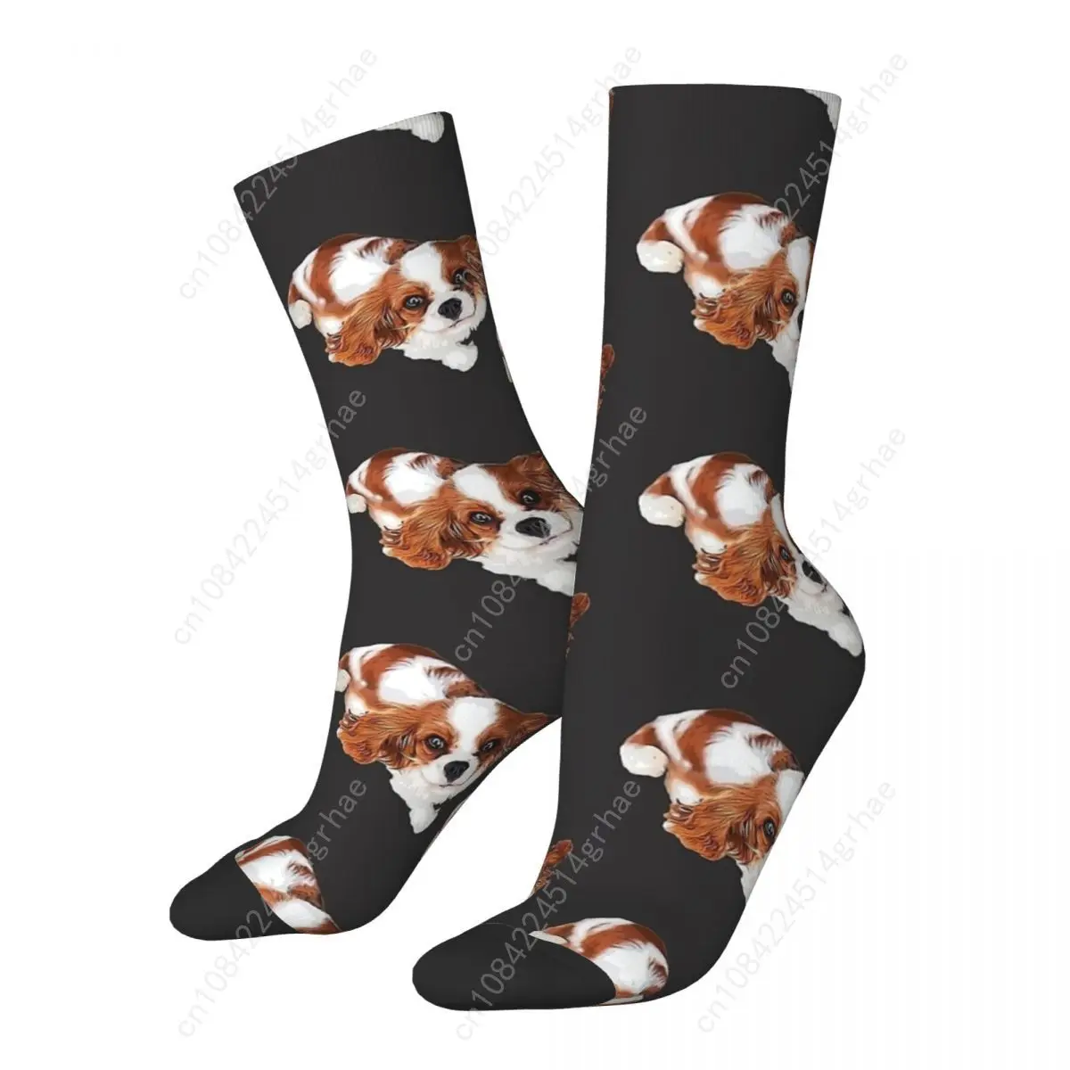 Cavalier King Charles Spaniel Opzoeken Sokken Leuke Hond Mode Kousen Herfst Anti Zweet Unisex Mannen Sokken Medium Zachte Sokken