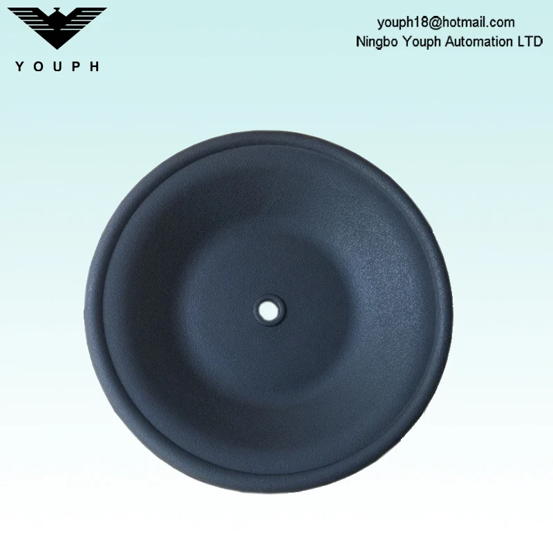 02-1010-51 Diaphragm of Wilden 1