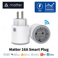 Matter Wifi Smart Plug with 16A Power Monitor EU/France Home Appliance Outlet Socket Works with Tuya Homekit Alexa Google Home