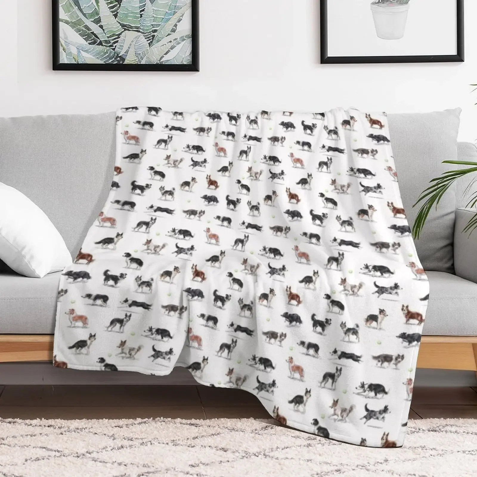 Border Collies Throw Blanket Soft Plush Plaid For Decorative Sofa christmas gifts Blankets