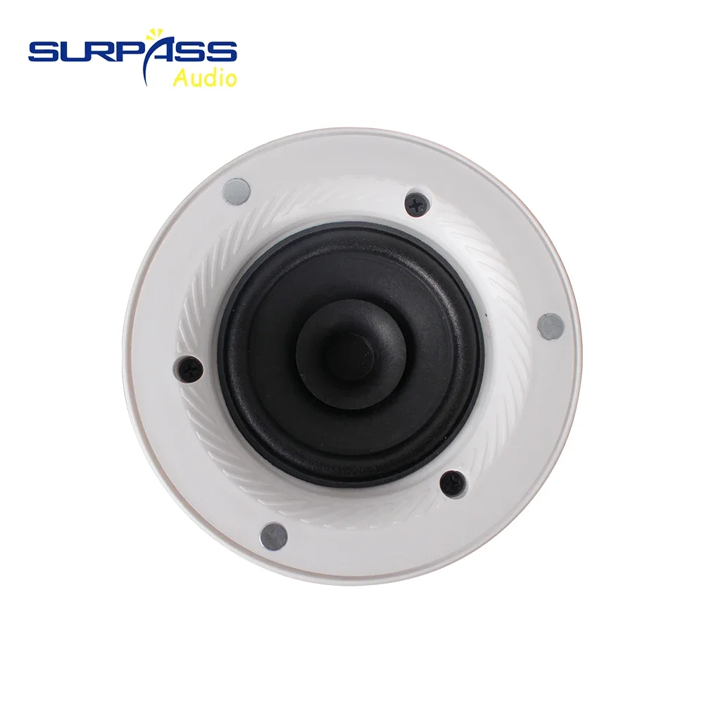 السلبي سقف مقاوم للماء الحمام سقف المتكلم مكبر الصوت البحرية سقف المتكلم المطبخ غرفة المعيشة نظام الصوت الصوت 25 واط