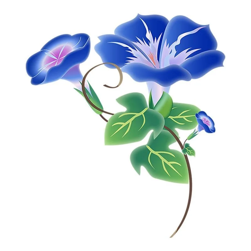 

Morning glory cartoon waterproof car sticker, electric car decoration, car scratch cover, bumper glass sticker