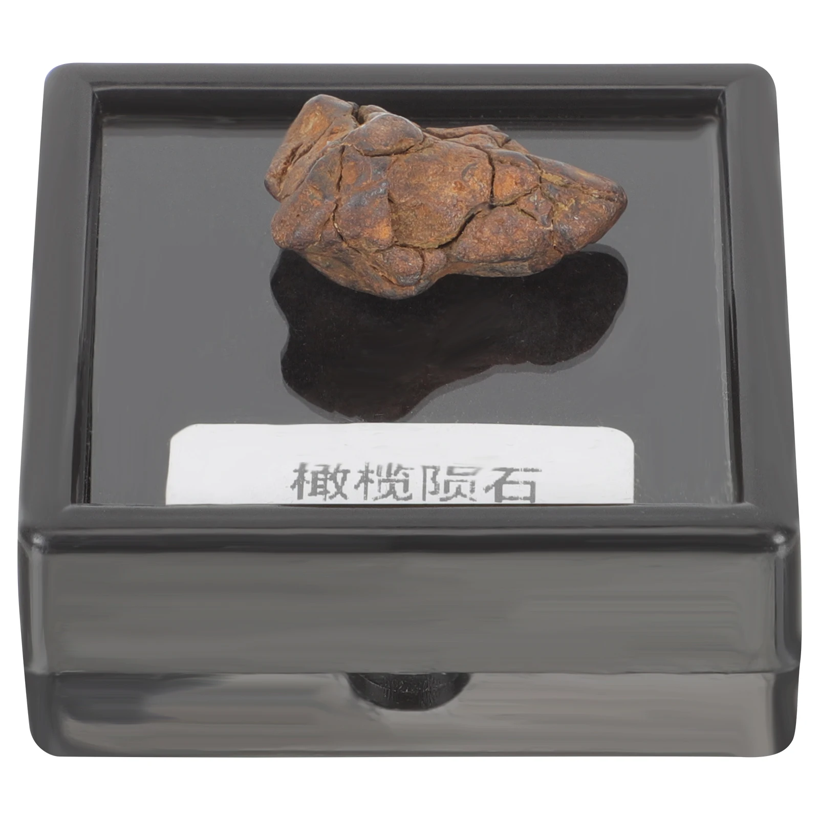

Premium Meteorite Specimen Classroom Teaching Sample Decorative Ornament for Kids Science Education
