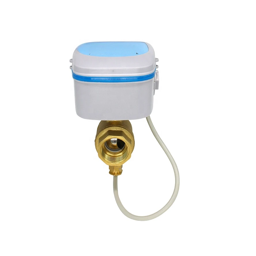 Intelligent LoRa LoRaWAN on/off smart water valve