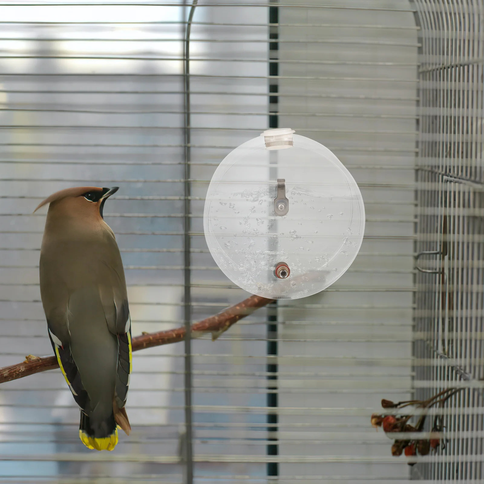 

Parrot Water Feeder Narrow Mouth Hanging Bird Water Dispenser For Cage Automatic Drinking Bottle For Budgie Cockatiel