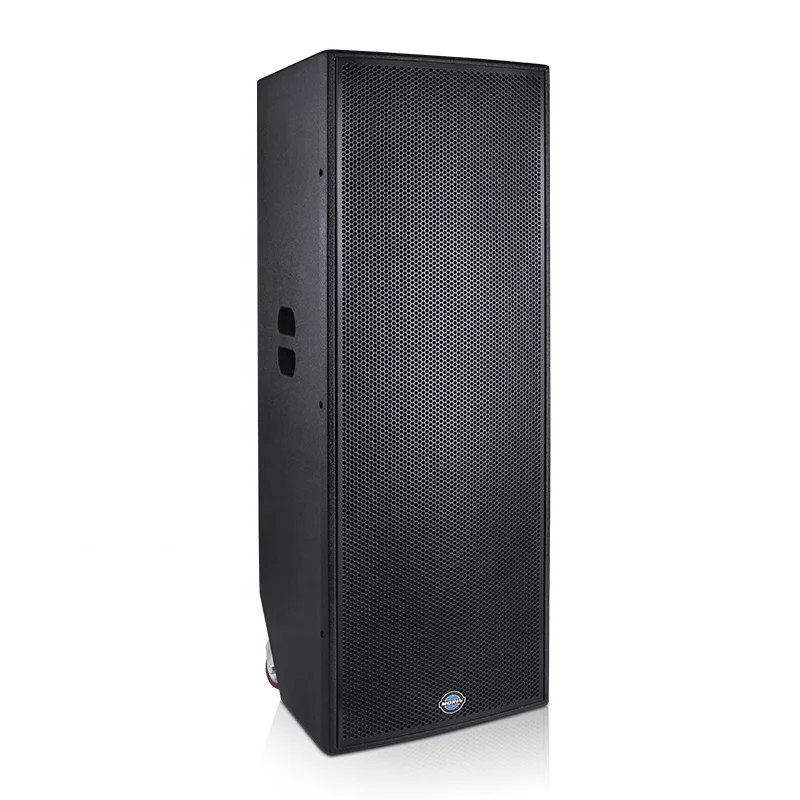 MORIN Dual 15 Zoll Super Woofe – Outdoor Power Amplifier Bewertung und Preis