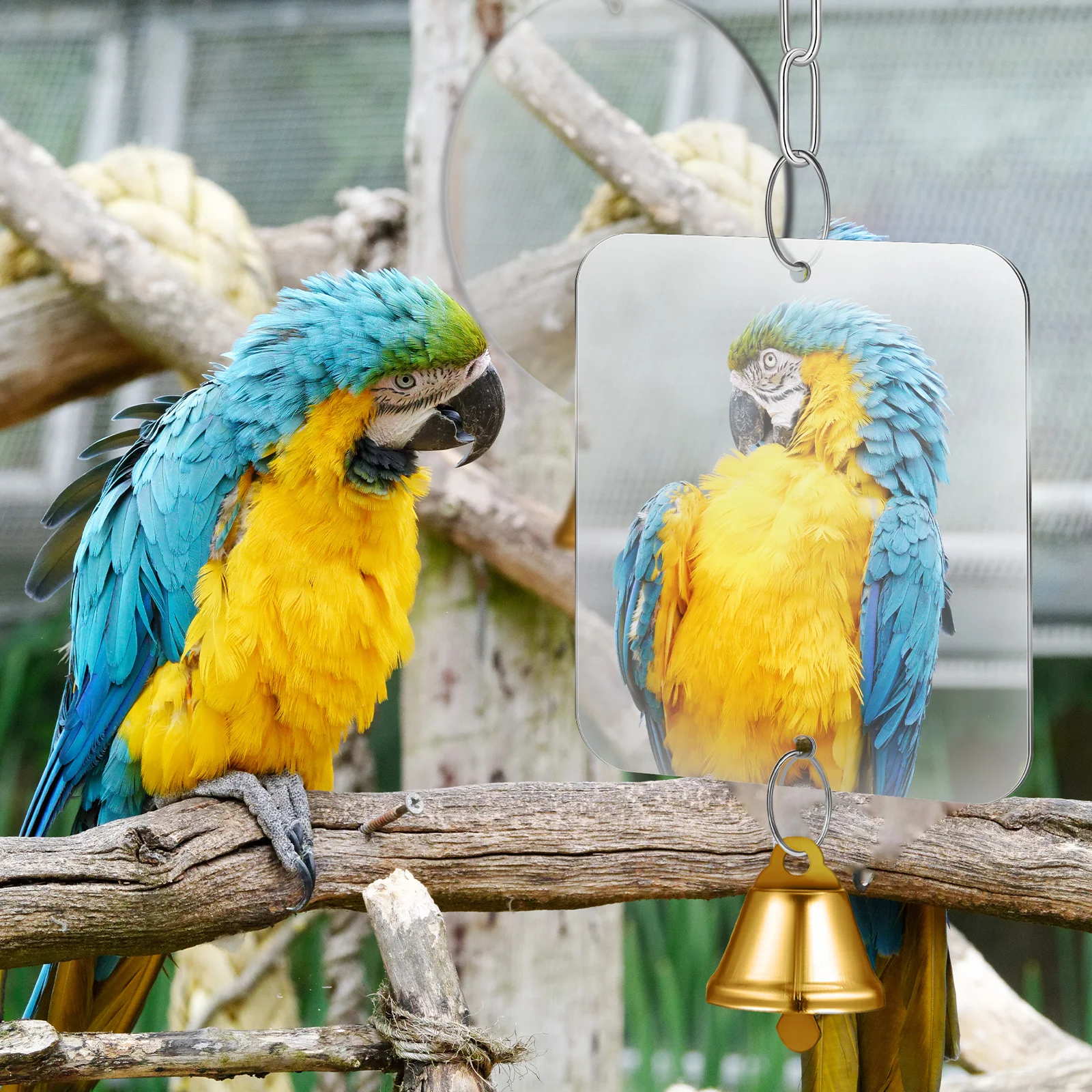 

Bird Mirror with Bell Parrot Mirror 2Pcs Hanging Swing Ringer Cage Accessories for Small Birds
