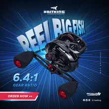 Royale Legend II & GT Baitcasting Reel #4