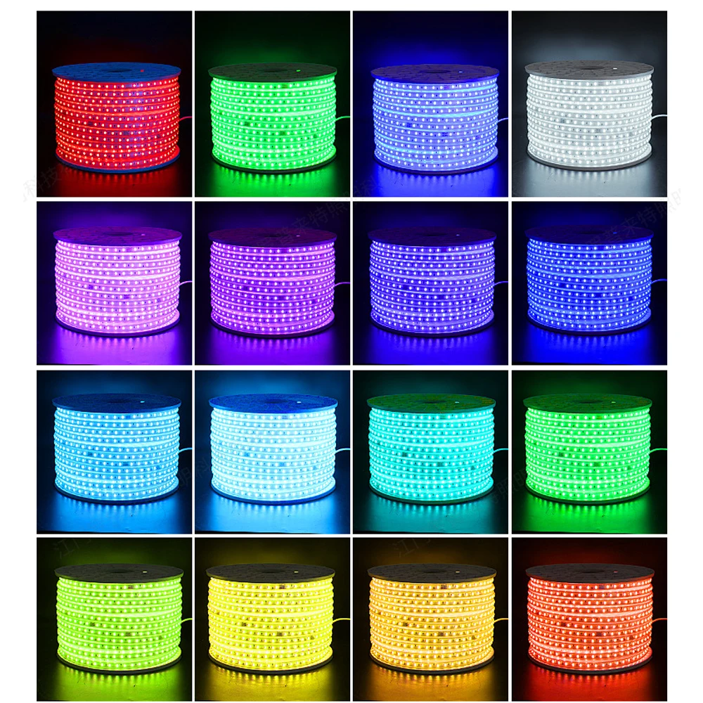 Waterproof RGB LED Strip Light EU 220V Remote Controller Changing Color Neon Ribbon Lamp 60leds/m Multicolor Garden Decoration