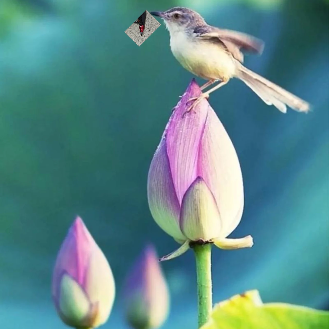 

GPM Aluminum Rear Knuckle Arm for LOSI 1/8 LMT Solid Axle 4WD Monster Truck - Lightweight Performance Upgrade