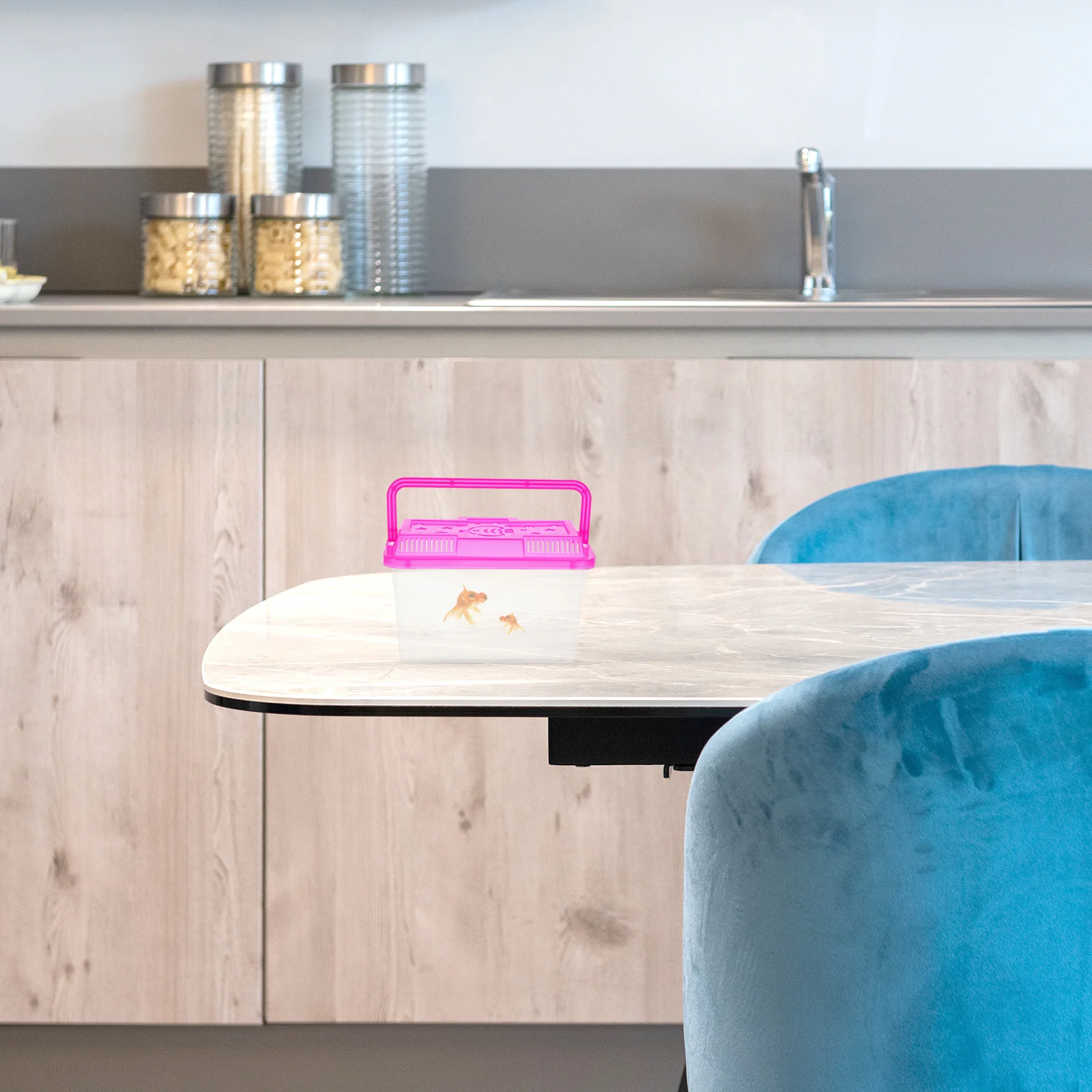 

4Pcs Mini Handheld Aquarium Box Transparent Plastic Pet Carrier for Fish Turtle Lizard Spider Hamster Portable Travel Tank with