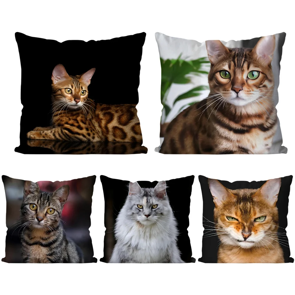 

1PC Animal Cat Pillow Case Home Sofa Throw Pillow Car Cushion Throw Pillow Cover