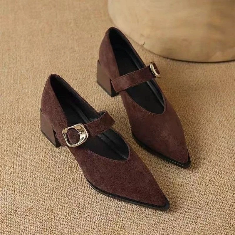 Women Vintage Mary Jane Block Heel Pumps, Pointed Toe Dress Shoes, Adjustable Buckle Strap Autumn Elegant Daily Office Footwear