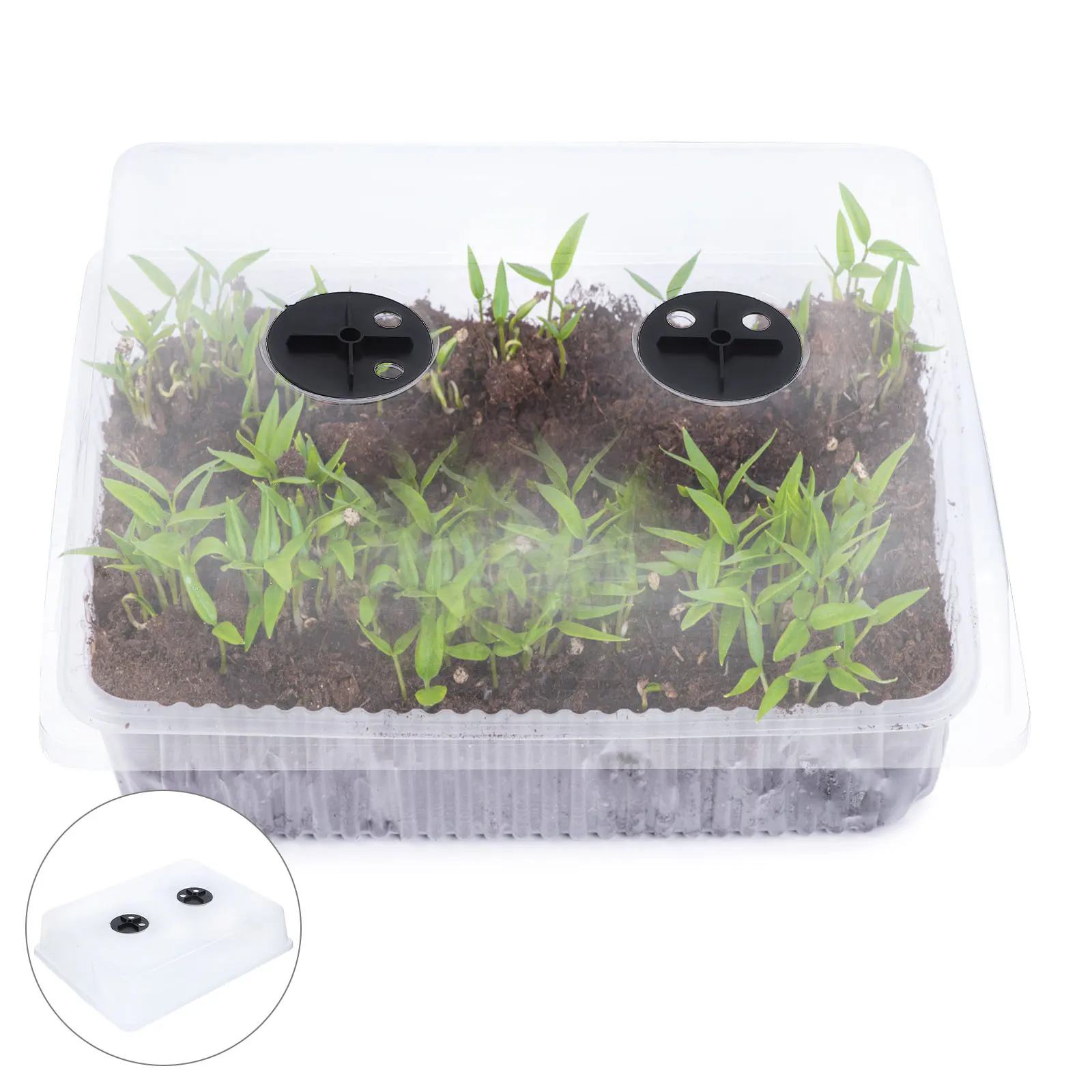 

Insulation Cover Gardening Moisturizing Nursery Pots Transparent Planter Lid Protective Heat Preservation for Plants