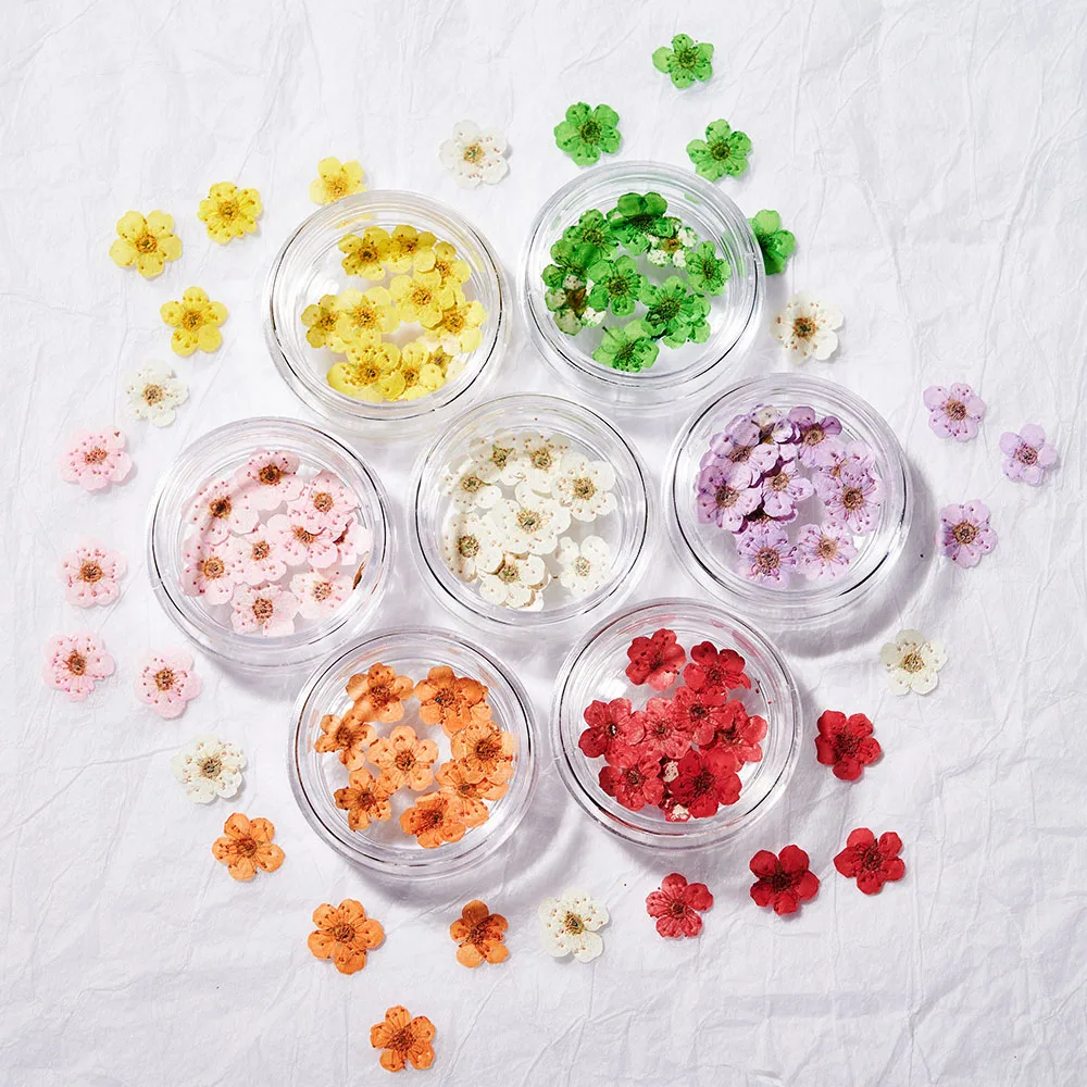 160Pcs/Set  Mixed Dried Flowers for Nail 16Colors Mini Real Natural Dry Flowers Nails Decoration DIY Creative Manicure Supplies