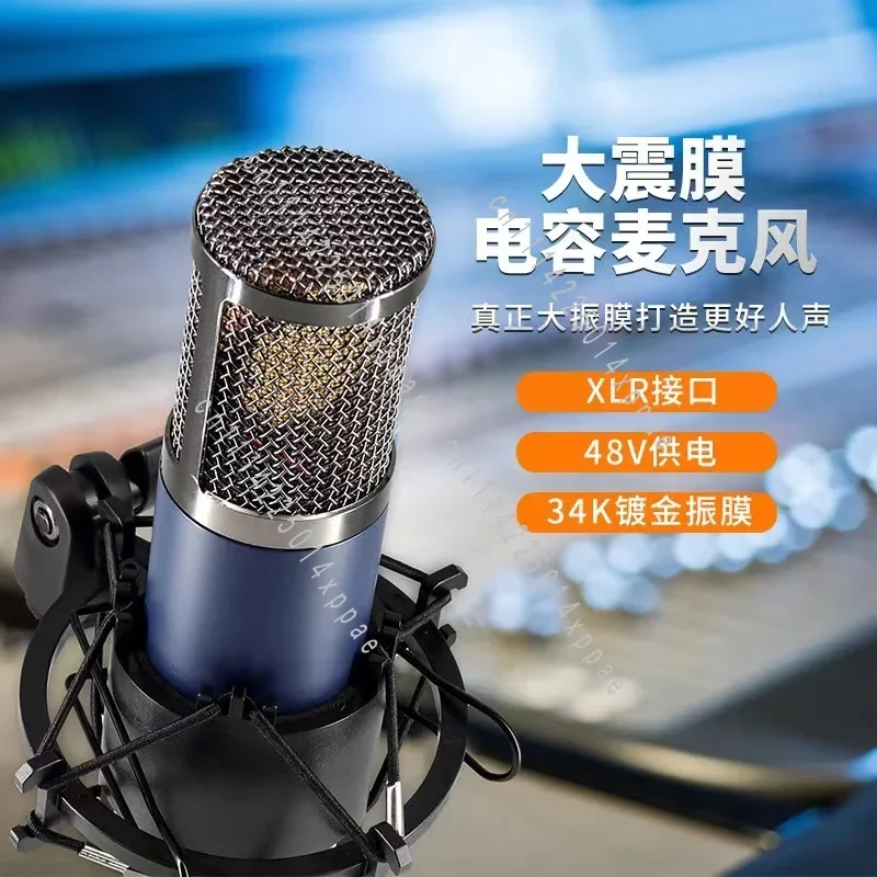 Microphone Live Sound Card Set For Professional Live Streaming Host Condenser