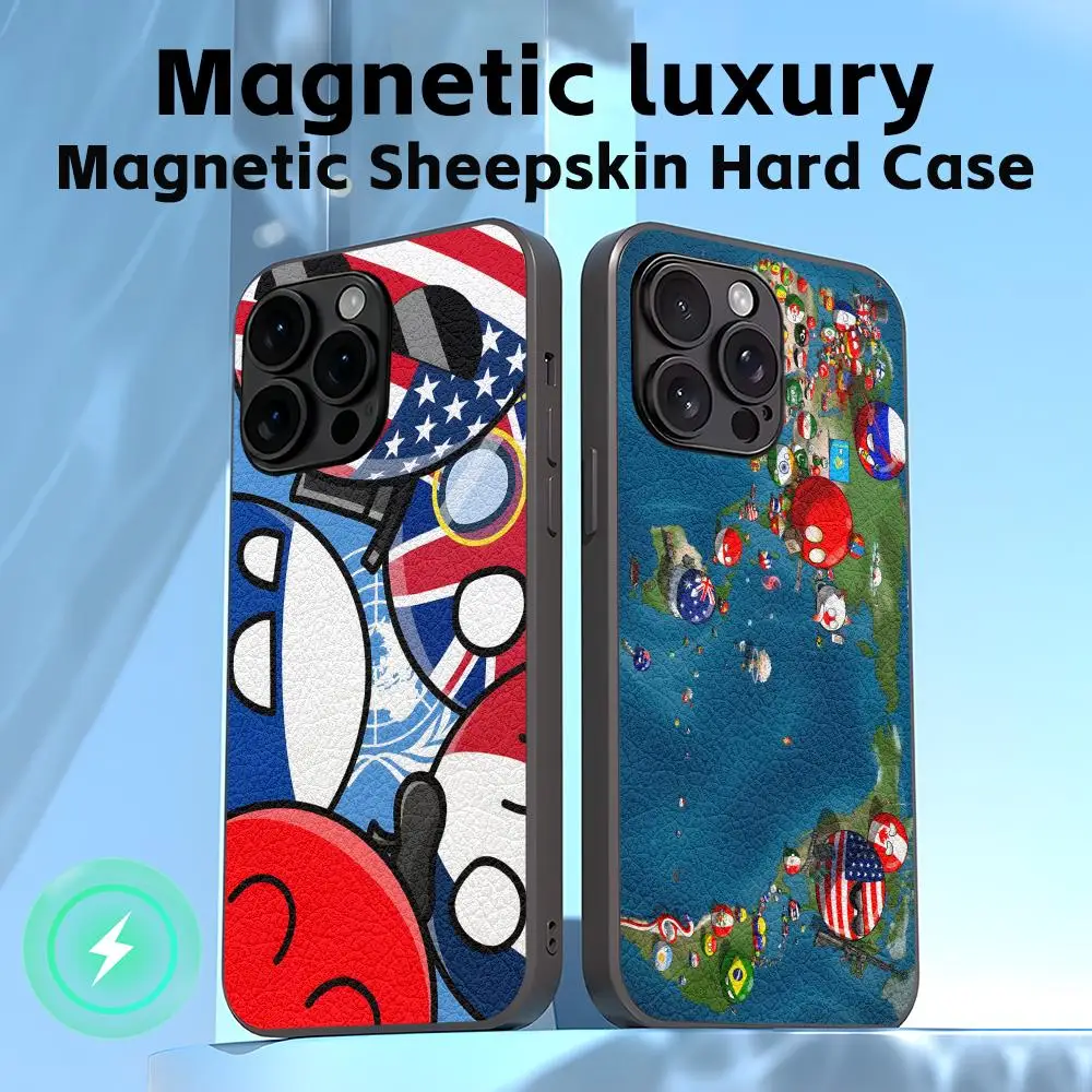 Чехол для телефона Polandball для iPhone 17 16 15 14 13 12 11 Plus Pro Max, высококачественный, роскошный, магнитный, из овчины