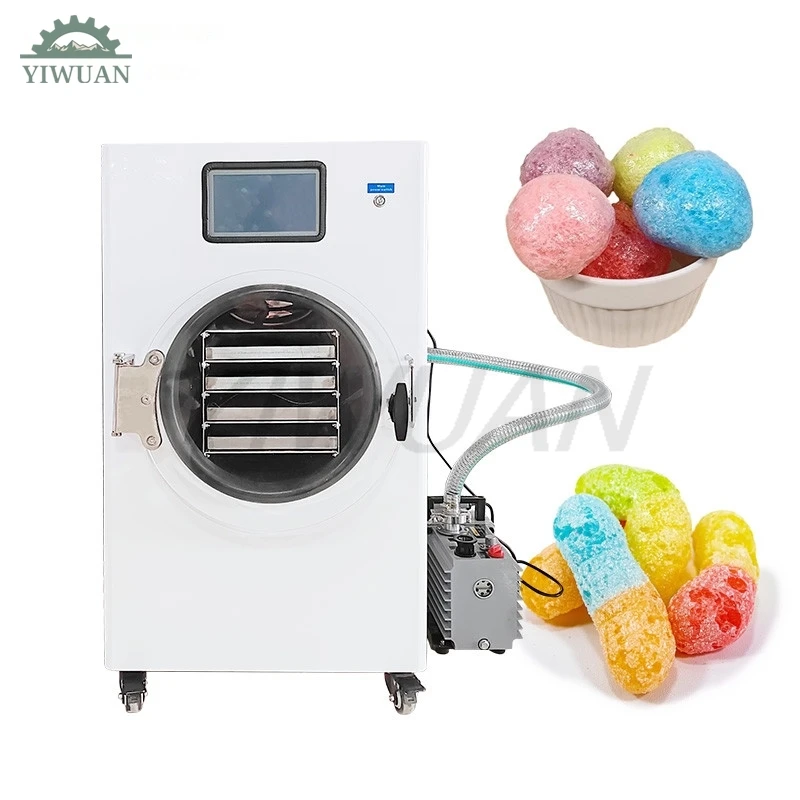 Automatic Fully Stainless Steel Small Lyophilizer Freeze Dryer Home For Candy